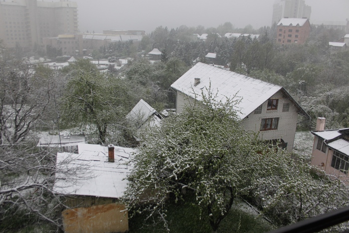 Львівщину засипало снігом