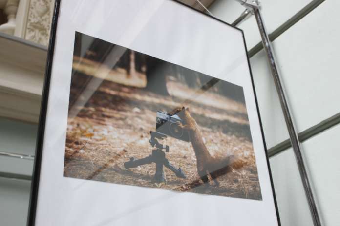 350 світлин живої історії. У Львові урочисто відкрили Фотовиставку «День-2015» 350 світлин живої історії. У Львові урочисто відкрили Фотовиставку «День-2015»