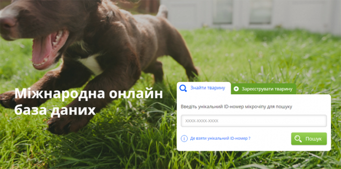 У Львові розробили проект, який збере всіх бездомних тварин в одну онлайн-базу У Львові розробили проект, який збере всіх бездомних тварин в одну онлайн-базу