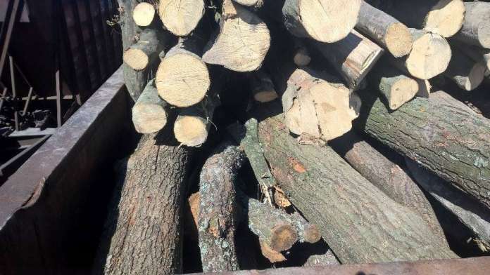 «Лісоцид»: в Україні – дрова, в Румунії – промислова деревина