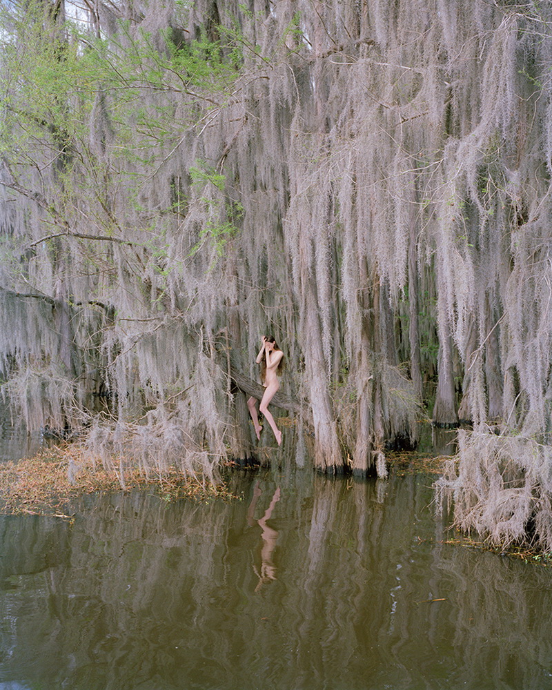 18_Supernatural_Synchrodogs_950