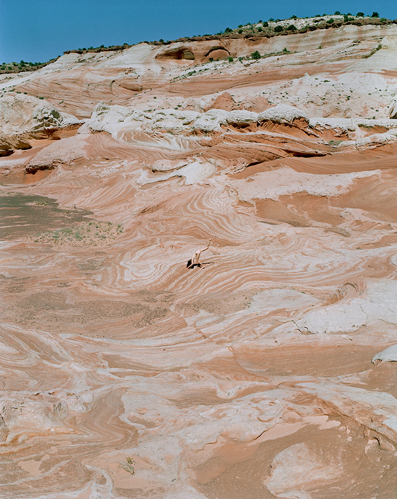 6_Supernatural_Synchrodogs_950