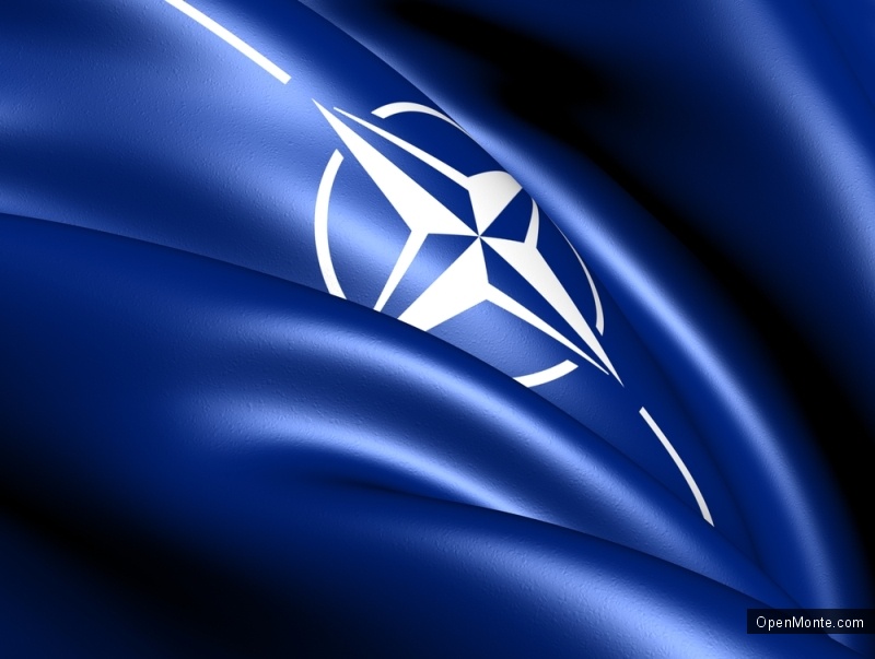 НАТО запросило Фінляндію і Швецію до Альянсу
