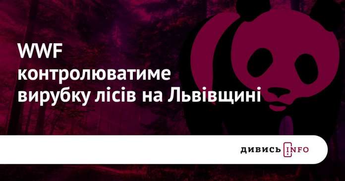 Всесвітній фонд природи шукає волонтерів для контролю вирубки лісів Львівщини Всесвітній фонд природи шукає волонтерів для контролю вирубки лісів Львівщини