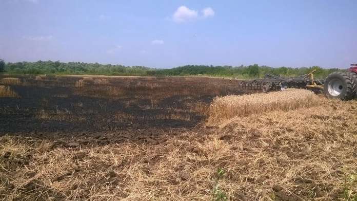 На Львівщині горіло поле На Львівщині горіло поле