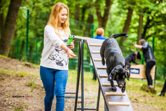 Перший в Україні Dog-парк з тренажерами відкрили у Львові (фото) Перший в Україні Dog-парк з тренажерами відкрили у Львові (фото)
