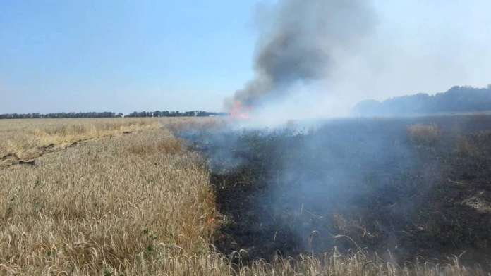 На Львівщині згоріло 35 га пшениці На Львівщині згоріло 35 га пшениці
