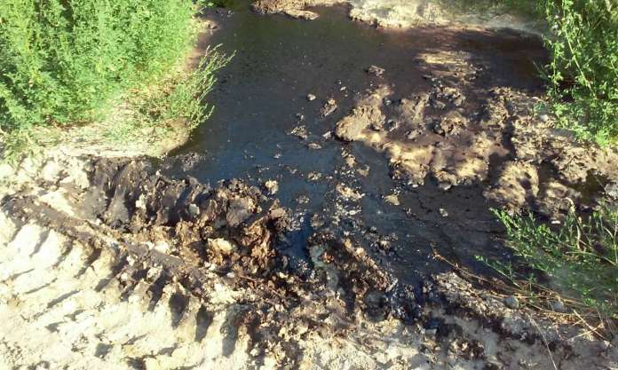 З грибовицького сміттєзвалища таки крадуть небезпечні гудрони (фото, відео) З грибовицького сміттєзвалища таки крадуть небезпечні гудрони (фото, відео)