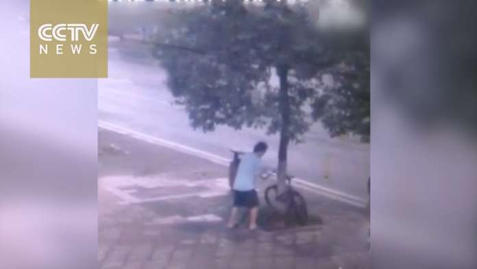 У Китаї чоловік зрубав дерево, щоб вкрасти велосипед (Відео) У Китаї чоловік зрубав дерево, щоб вкрасти велосипед (Відео)