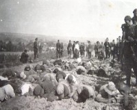 Пацифікація в одному із сіл.