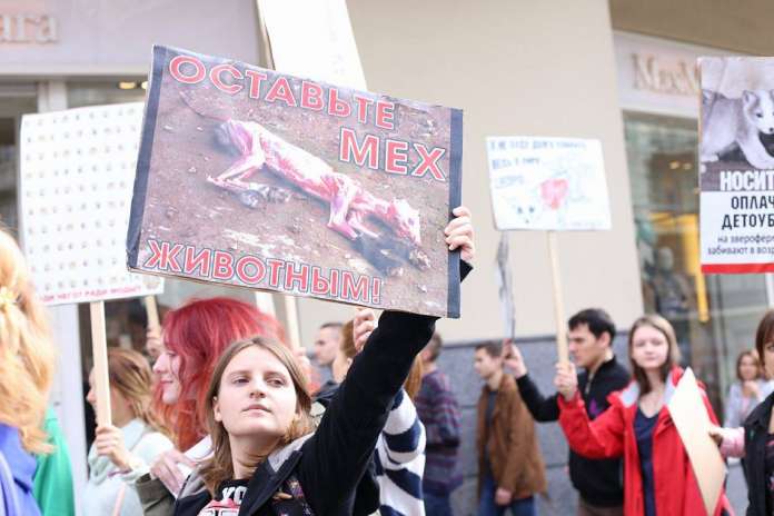 «Носити хутро – не по-європейськи». У Києві пройшла акція протесту (Фото) «Носити хутро – не по-європейськи». У Києві пройшла акція протесту (Фото)