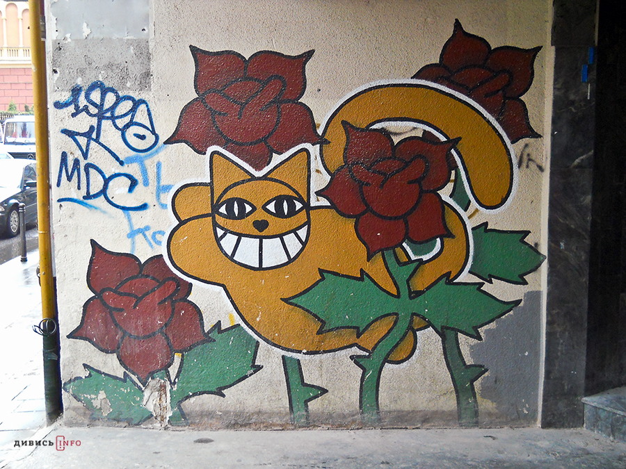 27