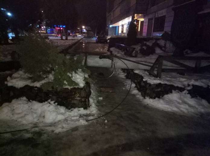 Внаслідок падіння ялинки пошкодились дві автівки (фото) Внаслідок падіння ялинки пошкодились дві автівки (фото)