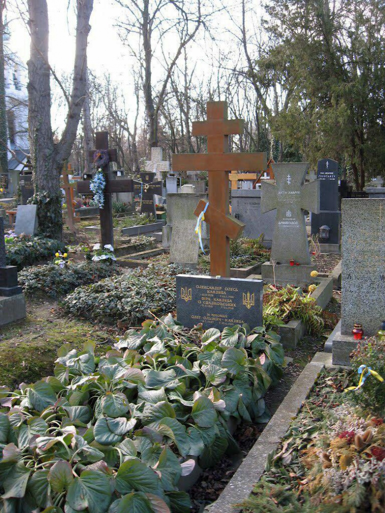 9466e1f-oles-oleksandr-chehiya