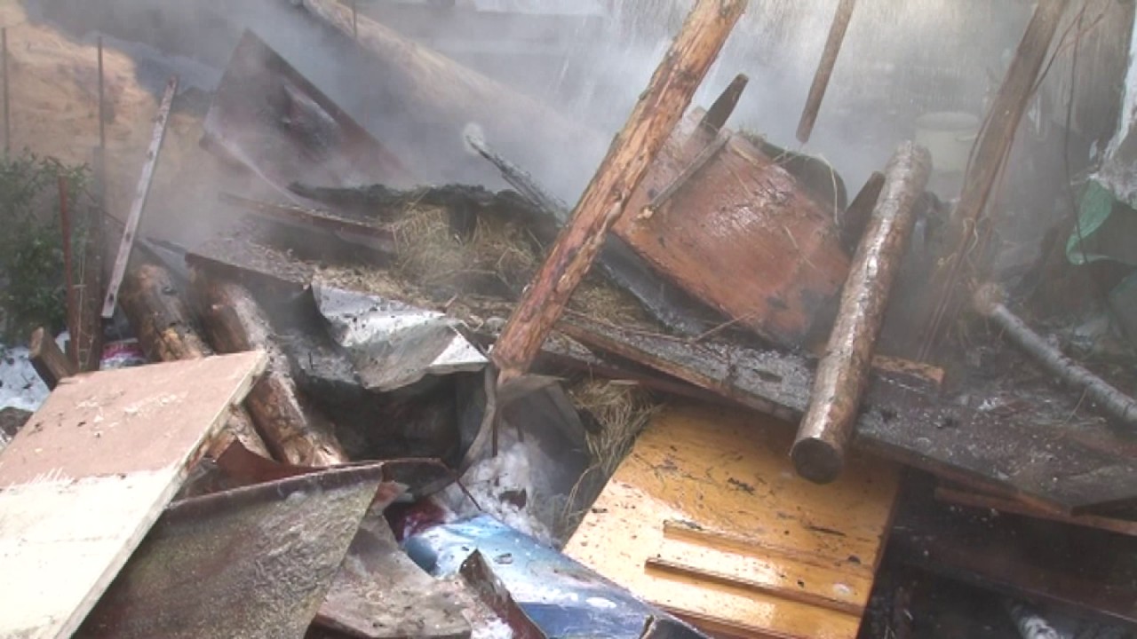 У Львові ліквідували пожежу у житловому будинку (Відео)