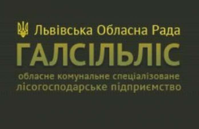 Конкурс на керівника «Галсільлісу» був звичайним фарсом, – активіст Конкурс на керівника «Галсільлісу» був звичайним фарсом, – активіст