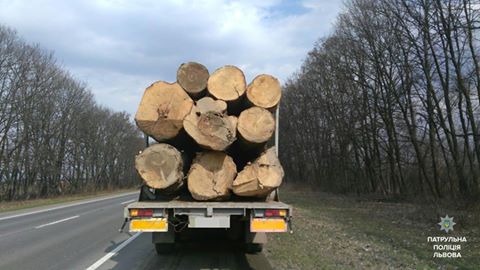 На трасі Київ-Чоп патрульні зупинили вантажівку з ялицею - 1