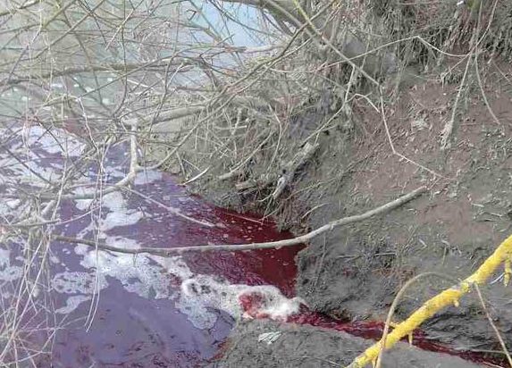У річці, що «стікає кров’ю», екоінспекція не виявила залишків хімічних речовин