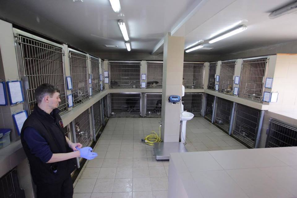 У Львові зареєстрували більше 5 тисяч тварин (фото) - 2