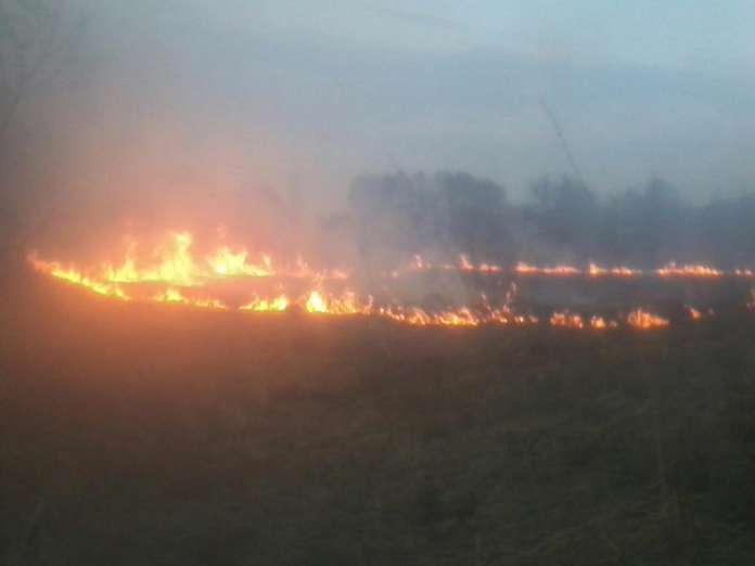 Біля Львова вчора вночі горіла суха трава (фото) Біля Львова вчора вночі горіла суха трава (фото)