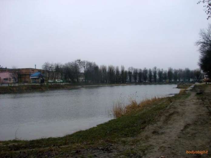 Львівські ставки очищають від сміття Львівські ставки очищають від сміття