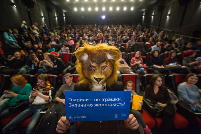 У Львові вперше пройде Animal Ads Day (відео) У Львові вперше пройде Animal Ads Day (відео)