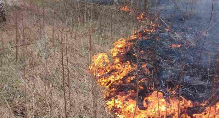На Львівщині ліквідували дві пожежі сухостою (фото) На Львівщині ліквідували дві пожежі сухостою (фото)