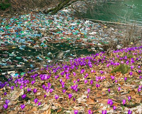 Озера відходів: фотограф показав, як засмічують заповідник на Закарпатті