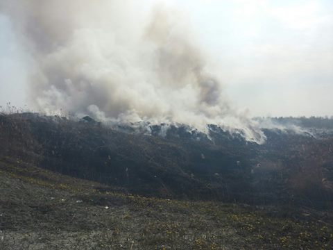 Біля Новояворівська горить сміттєзвалище - 1
