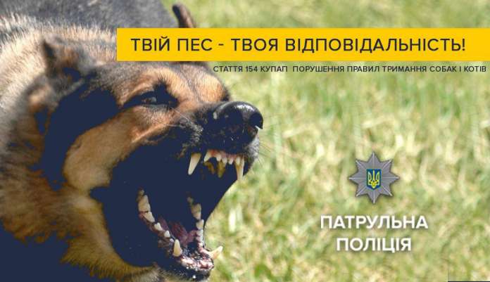 У Львові власниця незареєстрованого собаки, що вкусив підлітка, отримала протокол У Львові власниця незареєстрованого собаки, що вкусив підлітка, отримала протокол