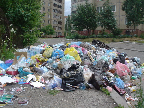 Майже половина Львова потопає у смітті