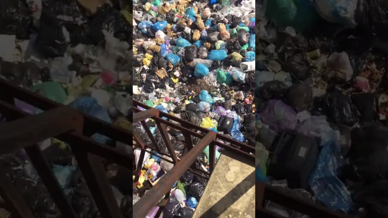 Біля офісного центру у Львові виявили стихійне сміттєзвалище (відео)