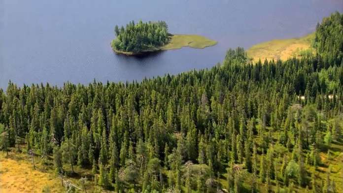 Кіно, що змушує замислитись: тернопільські школярі представили екокороткометражки (відео) Кіно, що змушує замислитись: тернопільські школярі представили екокороткометражки (відео)