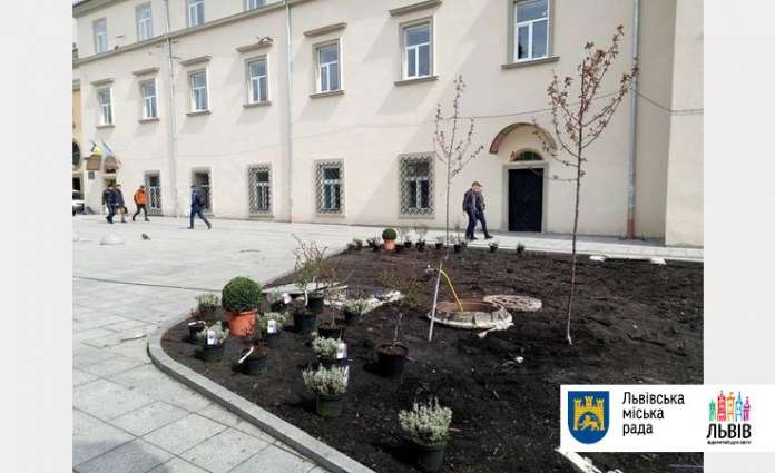 На площі Митній у Львові висадили кущі та дерева На площі Митній у Львові висадили кущі та дерева