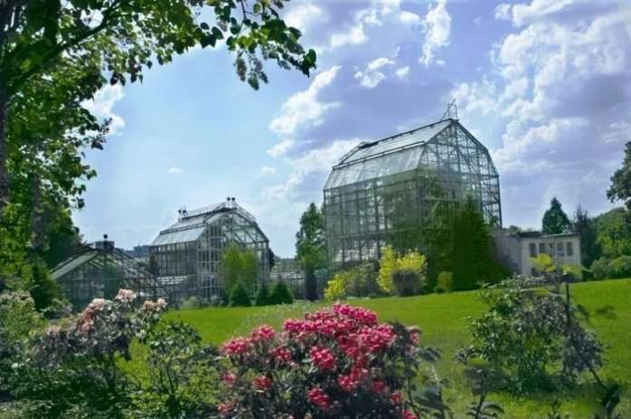 Блюз, ботанічний сад і французька весна: куди сходити на вихідних
