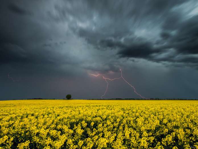 На Львівщині штормове попередження На Львівщині штормове попередження