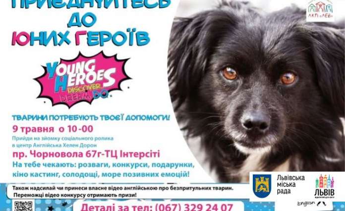 У Львові зніматимуть соціальний ролик про безпритульних тварин У Львові зніматимуть соціальний ролик про безпритульних тварин