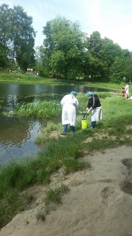 У Львові обробляли водойми від малярійних комарів - 1