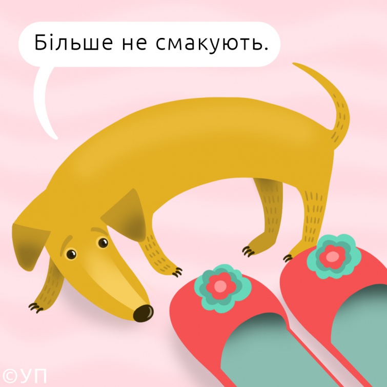 Плюс до карми та інших 4 причини взяти тварину із притулку (фото) - 4