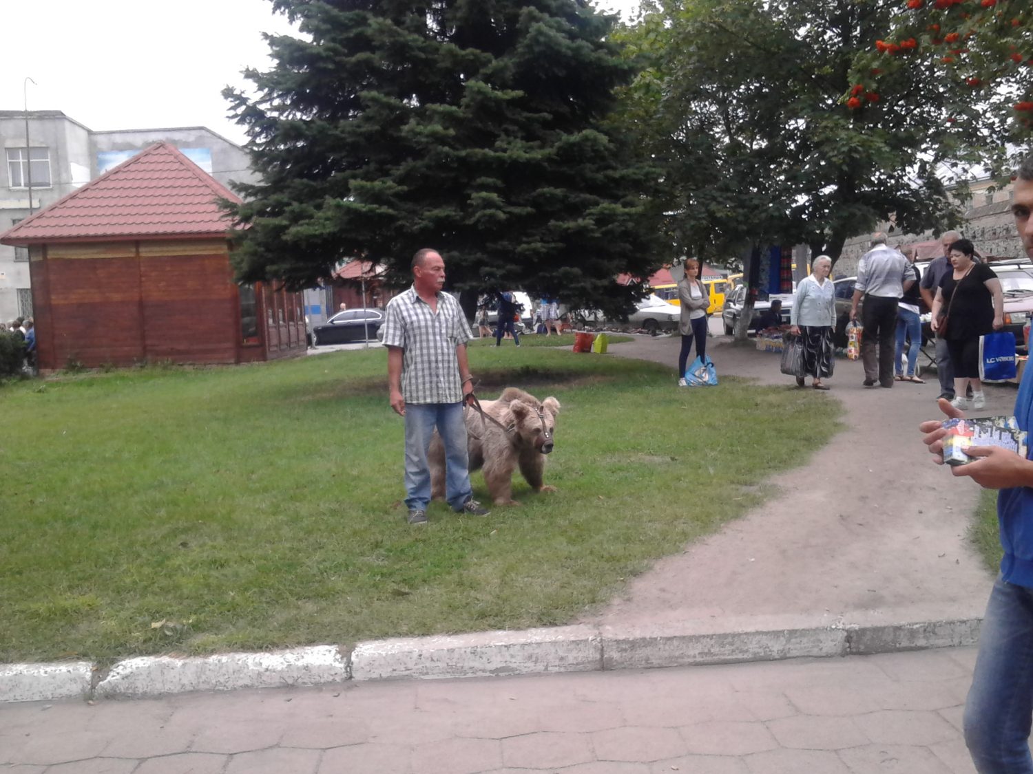 Врятувати ведмедицю Христю - 3