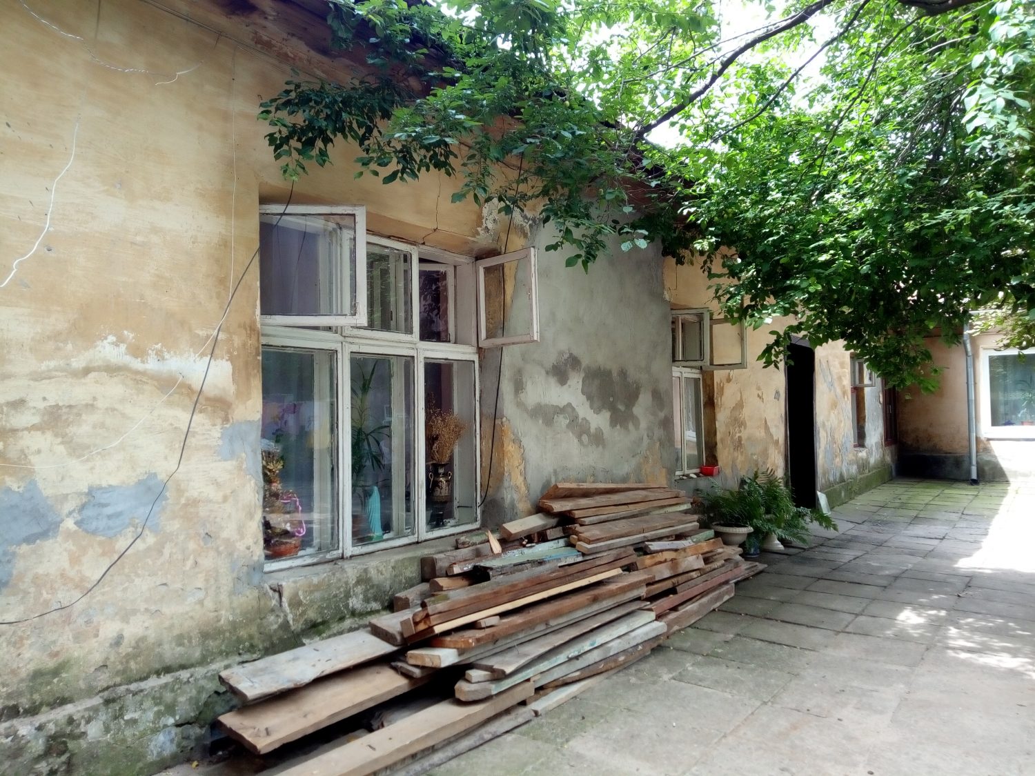 Цвіль, тріщини та сирість: як виглядають будинки 200-річної давності у Львові (фото) - 3