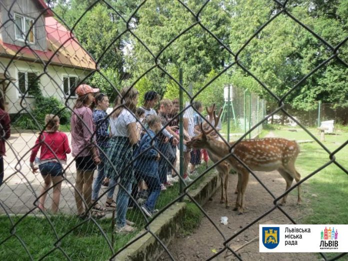 Для дітей із сімей, які опинились у складних життєвих обставинах, організували краєзнавчо-туристичну подорож Для дітей із сімей, які опинились у складних життєвих обставинах, організували краєзнавчо-туристичну подорож