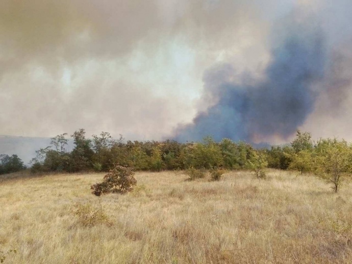 На Миколаївщині спалахнула велика лісова пожежа