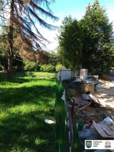 Забудовник незаконно заволодів землею у парку культури - 2