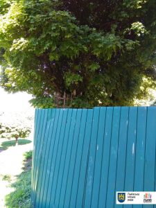 Забудовник незаконно заволодів землею у парку культури - 4