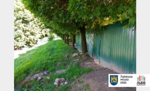 Забудовник незаконно заволодів землею у парку культури - 5