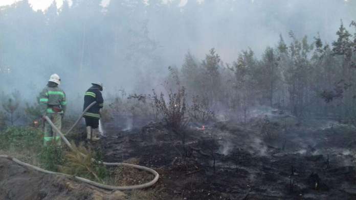 24 рятувальника гасили пожежу в лісі на Сокальщині (фото) 24 рятувальника гасили пожежу в лісі на Сокальщині (фото)