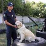 На вулиці Харкова виходять патрулі з собаками (фото) - 3