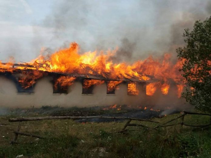 Пожежа в коледжі аграрного університету: врятували 40 корів, 28 тонн сіна згоріло Пожежа в коледжі аграрного університету: врятували 40 корів, 28 тонн сіна згоріло