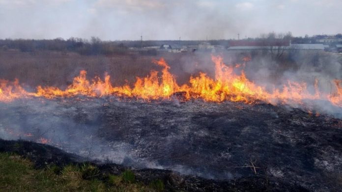Через спеку на Львівщині високий рівень пожежної небезпеки Через спеку на Львівщині високий рівень пожежної небезпеки